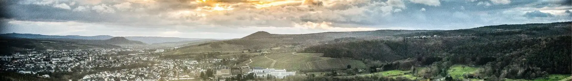 header.jpg